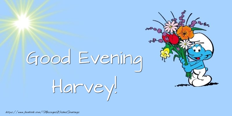 Greetings Cards for Good evening - Animation & Flowers | Good Evening Harvey
